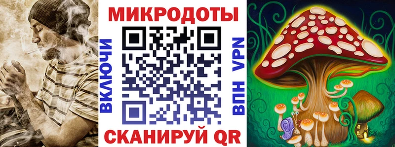 наркошоп  Кингисепп  Галлюциногенные грибы мухоморы 